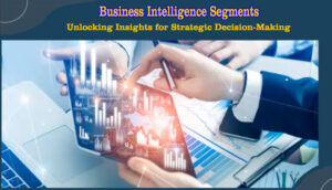 Business Intelligence Segments